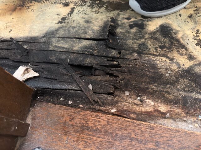 床板をめくった下地合板の腐食状態