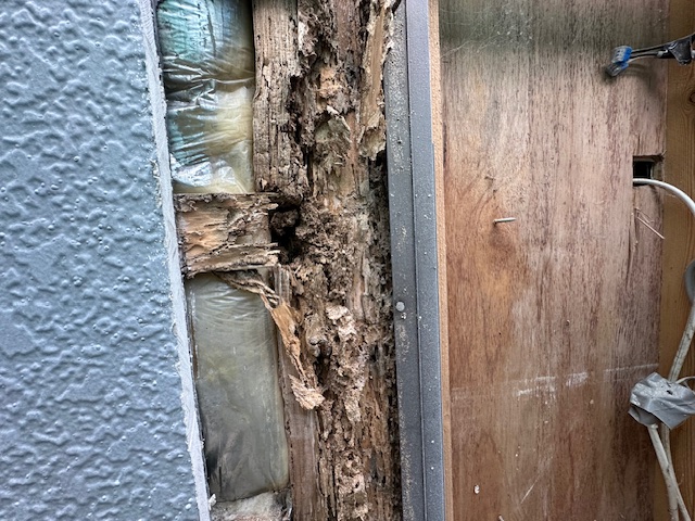 外壁サイディングひび割れからの雨水侵入後の壁内