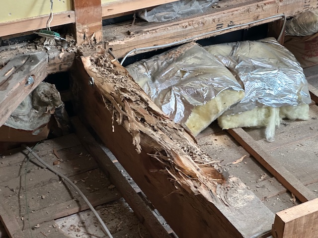 シロアリ被害を受けた床下の木部