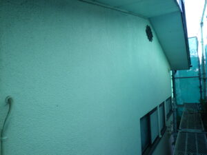 西面　上段高圧洗浄前