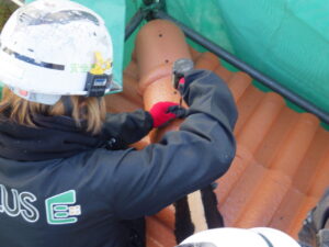 棟瓦の取り付けを行っている様子になります。 下地材に合わせながら、ビスを打ち込み棟瓦を固定していきます。