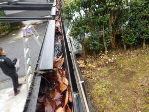 雨樋にゴミが溜まっていたので、掃除していきます。