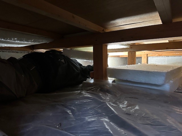 施工前（底冷えするフローリング）