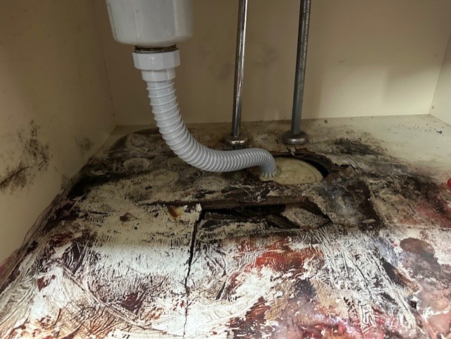 配管まわりの確認