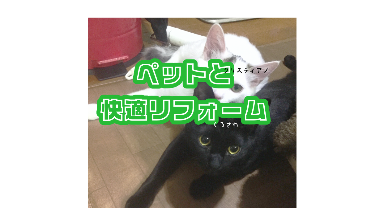 ペットと暮らす家のリフォームお悩み相談|滑る床・ニオイ・傷対策など〖宇都宮〗