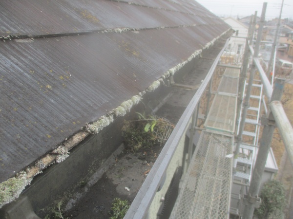 雨樋交換工事(火災保険適用/一部交換)