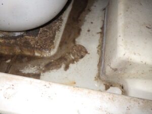 エプロン点検口部分を解体して確認したところ、水漏れが発生していて、かなり傷んでいました。