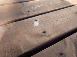 ↓　ウッドデッキの床材取り付け完了後は、穴が開いてしまっている部分などには、パテ処理を行っていきます。