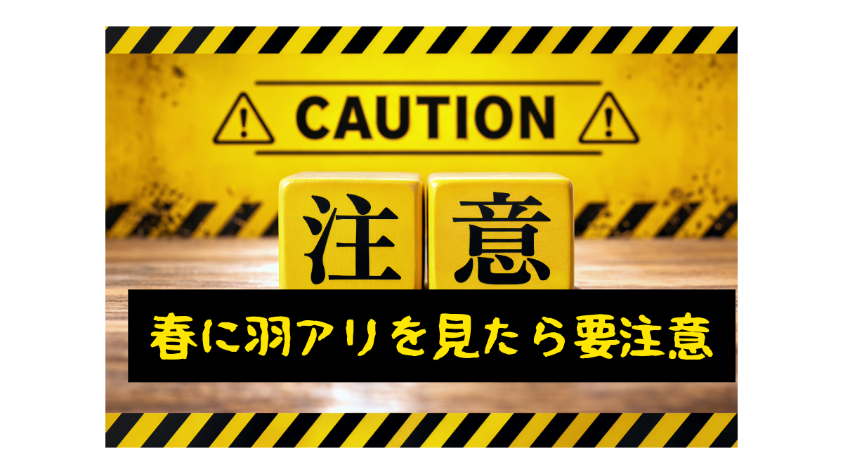 春のシロアリ・羽アリ｜最初にやることと注意点