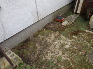 北側の波板処分が完了になります。
